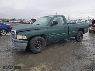 1999 Dodge Ram 1500 with VIN 1B7HC16X5XS310146, listed as a Copart auction lot 49840985 with 120,576 mi miles and Salvage Title. Bid and sale history available at carsss.com. Image 1.
