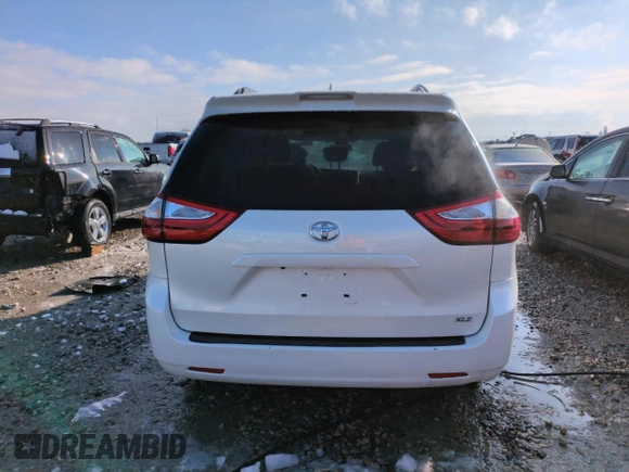 2019 Toyota Sienna XLE Auto Access Seat with VIN 5TDYZ3DC1KS982412, listed as a Copart auction lot 45692195 with 46,080 mi miles and Salvage Title. Bid and sale history available at carsss.com. Image 6.