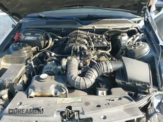 2009 Ford Mustang с VIN 1ZVHT80N695102730, выставлен на аукционе IAAI как лот 43082789 с пробегом 225 481 миль миль и . История ставок и продаж доступна на DreamBid. Изображение 21.