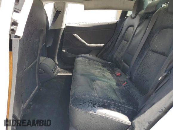 2020 Tesla Model 3 Standard Range Plus with VIN 5YJ3E1EA3LF612365, listed as a Copart auction lot 54421205 with Not Provided miles and Clean Title. Bid and sale history available at DreamBid. Image 10.