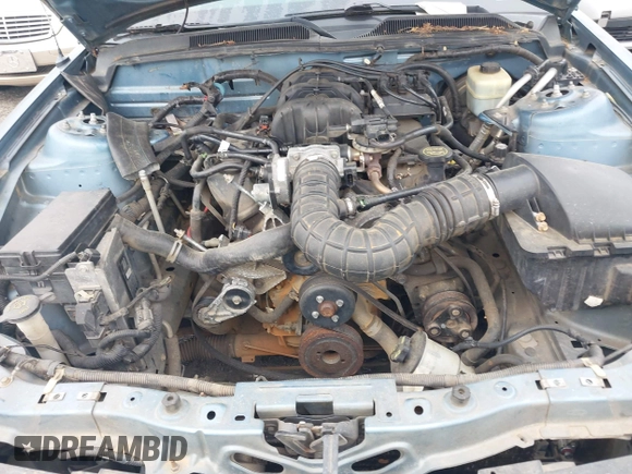 2007 Ford Mustang GT Deluxe with VIN 1ZVHT82H775355835, listed as a IAAI auction lot 42157832 with Not provided miles and . Bid and sale history available at DreamBid. Image 10.