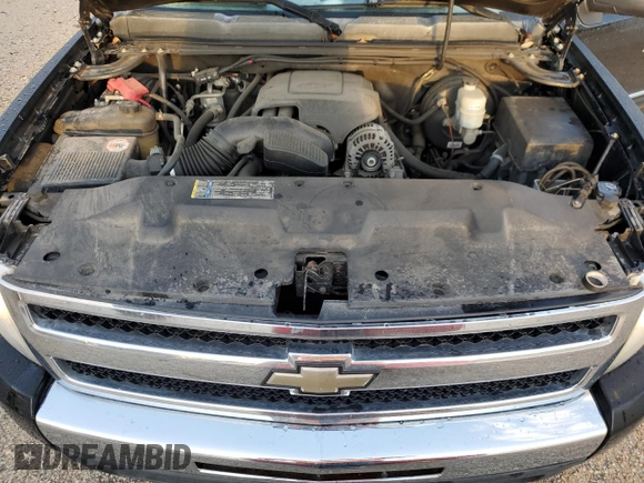 2010 Chevrolet Silverado 1500 LT with VIN 3GCRCSE00AG214860, listed as a Copart auction lot 53073005 with 140,458 mi miles and Salvage Title. Bid and sale history available at DreamBid. Image 11.