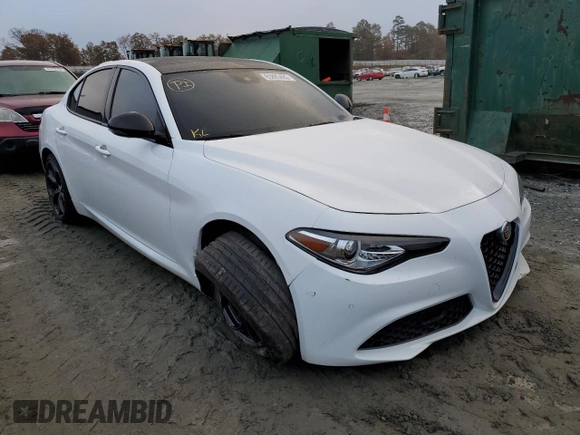 2019 Alfa Romeo Giulia Ti Sport with VIN ZARFAMBN1K7604602, listed as a Copart auction lot 65885482 with 65,701 mi miles. Bid and sale history available at carsss.com. Image 1.