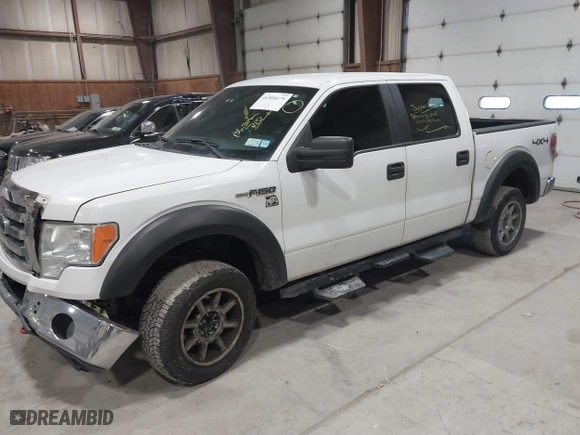 2009 Ford F-150 XL with VIN 1FTPW14V99KC52243, listed as a IAAI auction lot 41500479 with 186,304 mi miles. Bid and sale history available at carsss.com. Image 19.