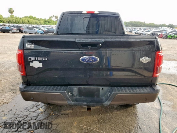 2015 Ford F-150 XLT with VIN 1FTEW1EG7FFB60916, listed as a Copart auction lot 63894135 with 176,035 mi miles and Clean title. Bid and sale history available at DreamBid. Image 6.