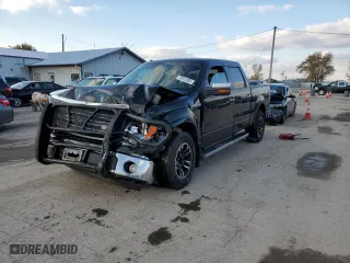 2013 Ford F-150 XLT with VIN 1FTFW1E66DFD96496, listed as a Copart auction lot 73612493 with 0 mi miles and Non Repairable. Bid and sale history available at carsss.com. Image 1.