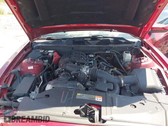 2014 Ford Mustang V6 with VIN 1ZVBP8AM9E5284966, listed as a IAAI auction lot 42440410 with 100,161 mi miles and . Bid and sale history available at DreamBid. Image 10.