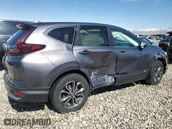 2020 Honda CR-V EX with VIN 7FART6H54LE004452, listed as a Copart auction lot 45871255 with 35,034 mi miles and Salvage Title. Bid and sale history available at DreamBid. Image 3.