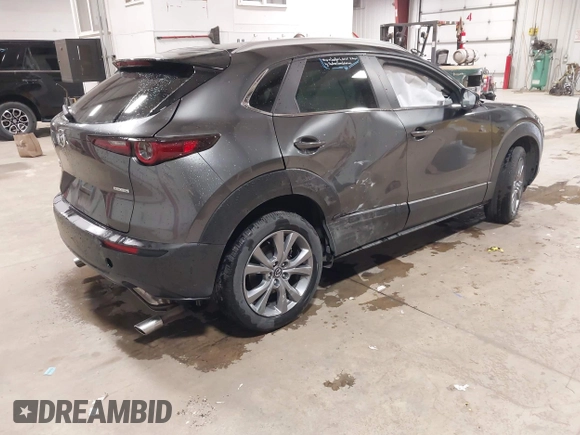 2025 Mazda CX-30 S Preferred with VIN 3MVDMBCM1SM780928, listed as a IAAI auction lot 42060812 with 8,081 mi miles and . Bid and sale history available at DreamBid. Image 4.