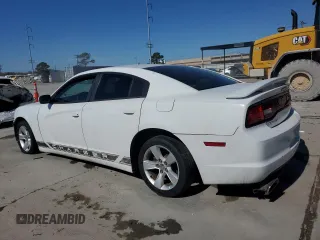 2013 Dodge Charger SE with VIN 2C3CDXBG5DH623754, listed as a Copart auction lot 46846175 with 187,841 mi miles and Salvage Title. Bid and sale history available at DreamBid. Image 2.