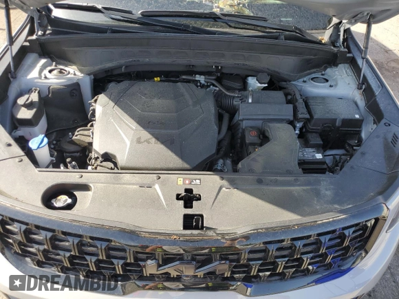 2025 Kia Telluride SX X-Line with VIN 5XYP5DGC3SG568800, listed as a Copart auction lot 57134715 with Not provided miles and Salvage title. Bid and sale history available at DreamBid. Image 12.