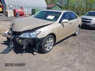 2009 Lexus ES 330 with VIN JTHBJ46G992319012, listed as a IAAI auction lot 42145123 with 147,356 mi miles and . Bid and sale history available at DreamBid. Image 18.
