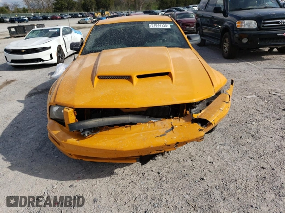 2007 Ford Mustang Deluxe with VIN 1ZVFT80N075259366, listed as a Copart auction lot 51644135 with Not Provided miles and Salvage Title. Bid and sale history available at carsss.com. Image 5.