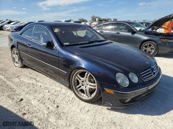 2002 Mercedes-Benz CL-Class AMG with VIN WDBPJ73J02A021435, listed as a Copart auction lot 77801194 with NaN miles and Salvage Title. Bid and sale history available at carsss.com. Image 4.