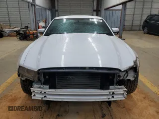 2014 Ford Mustang V6 with VIN 1ZVBP8AM0E5232495, listed as a Copart auction lot 41481245 with 118,917 mi miles and Salvage Title. Bid and sale history available at DreamBid. Image 5.