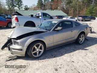 2009 Ford Mustang GT with VIN 1ZVHT82H495129173, listed as a Copart auction lot 55048105 with 87,764 mi miles and Clean title. Bid and sale history available at DreamBid. Image 1.
