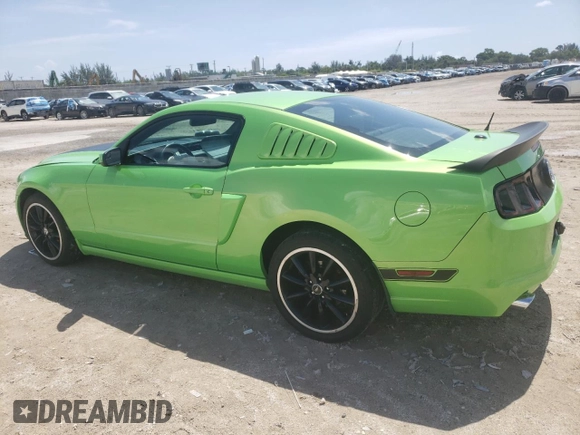 2013 Ford Mustang V6 with VIN 1ZVBP8AM1D5265875, listed as a Copart auction lot 60679005 with 102,380 mi miles and Salvage title. Bid and sale history available at DreamBid. Image 2.