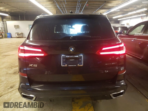 2019 BMW X5 xDrive50i with VIN 5UXJU2C55KLN67350, listed as a Copart auction lot 73114672 with 18,704 mi miles. Bid and sale history available at carsss.com. Image 6.