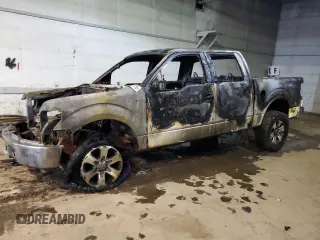 2013 Ford F-150 XL with VIN 1FTFW1ET1DFA62656, listed as a Copart auction lot 51493275 with 0 mi miles and Clean Title. Bid and sale history available at carsss.com. Image 1.