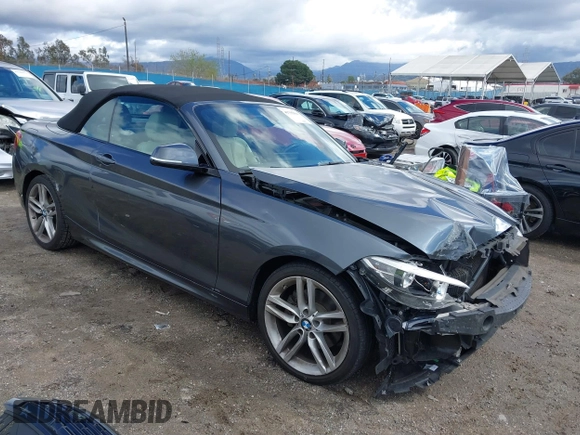 2016 BMW 2 Series 228i xDrive with VIN WBA1L9C5XGV767324, listed as a IAAI auction lot 41795604 with 133,276 mi miles. Bid and sale history available at carsss.com. Image 1.