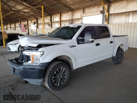 2019 Ford F-150 with VIN 1FTEW1P40KKC25240, listed as a Copart auction lot 62955415 with Not provided miles and Clean title. Bid and sale history available at DreamBid. Image 1.