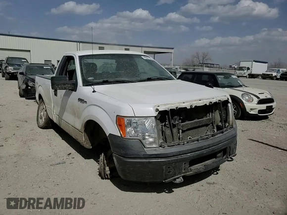 2009 Ford F-150 XL with VIN 1FTRF14W99KB43928, listed as a Copart auction lot 49001195 with 162,097 mi miles and Salvage title. Bid and sale history available at DreamBid. Image 11.