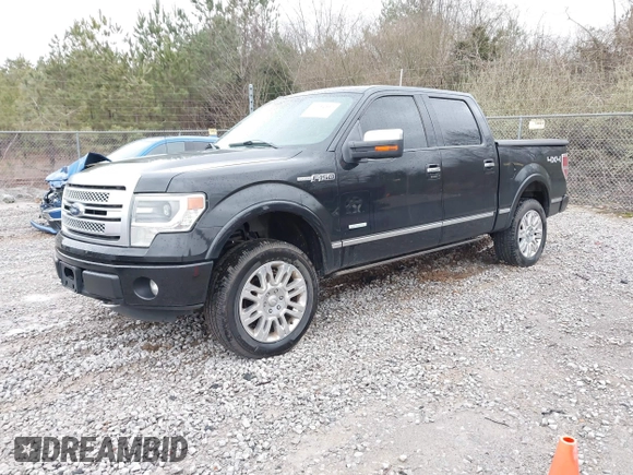 2013 Ford F-150 XL with VIN 1FTFW1ET5DFA49957, listed as a IAAI auction lot 41734397 with 265,121 mi miles. Bid and sale history available at carsss.com. Image 17.