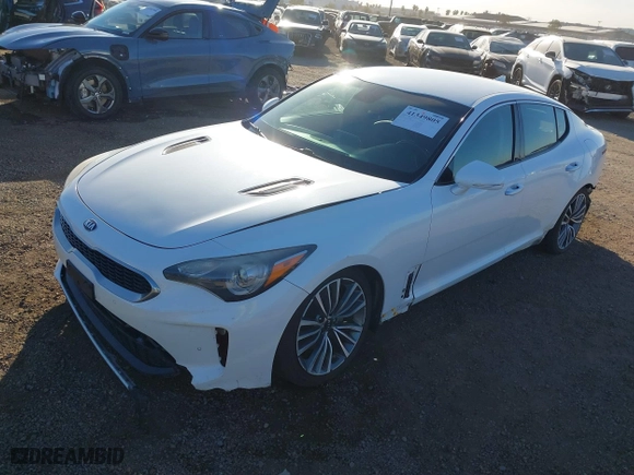 2019 Kia Stinger with VIN KNAE15LAXK6065844, listed as a IAAI auction lot 41349805 with 119,562 mi miles. Bid and sale history available at carsss.com. Image 17.