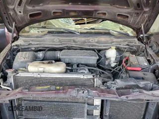 2004 Dodge 1500 SLT with VIN 1D7HA18N94S705188, listed as a Copart auction lot 49967065 with 263,022 mi miles and Salvage Title. Bid and sale history available at DreamBid. Image 12.