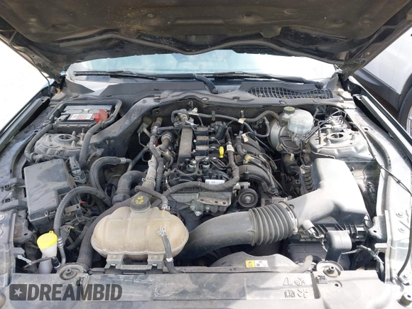 2018 Ford Mustang EcoBoost with VIN 1FA6P8TH8J5106373, listed as a IAAI auction lot 42724089 with 141,865 mi miles and . Bid and sale history available at DreamBid. Image 10.
