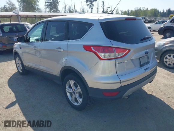 2014 Ford Escape SE with VIN 1FMCU9GX1EUB48145, listed as a IAAI auction lot 42111206 with 113,006 mi miles and . Bid and sale history available at carsss.com. Image 3.