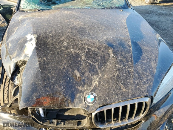 2016 BMW X6 xDrive35i with VIN 5UXKU2C59G0N80888, listed as a Copart auction lot 45896805 with 0 mi miles and Salvage Title. Bid and sale history available at carsss.com. Image 12.