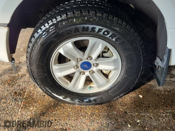 2017 Ford F-150 XL with VIN 1FTEX1EP3HKC76119, listed as a IAAI auction lot 42844369 with 193,396 mi miles and . Bid and sale history available at DreamBid. Image 6.