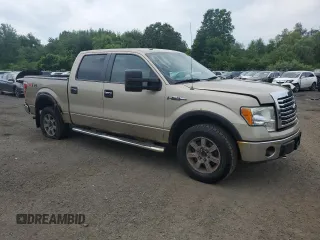2010 Ford F-150 XL with VIN 1FTEW1E88AFD58115, listed as a Copart auction lot 62996725 with 179,894 mi miles and Clean title. Bid and sale history available at DreamBid. Image 4.