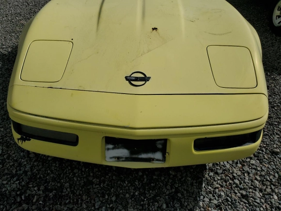 1992 Chevrolet Corvette z VIN 1G1YY23PXN5109648, wystawiony jako Copart lot #78973164 z przebiegiem Nie podano mil oraz Szkoda całkowita • Salvage title. Historia ofert i sprzedaży dostępna na DreamBid. Obrazek 11.