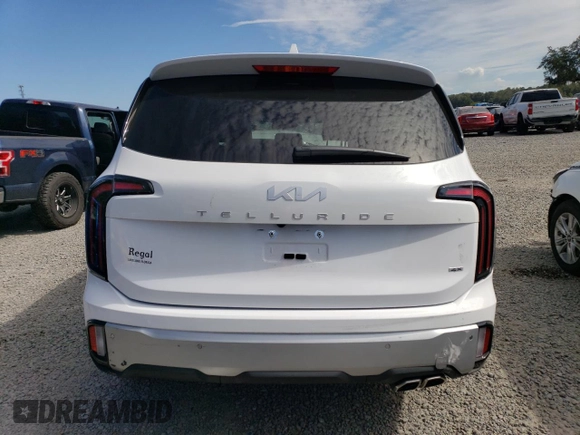 2024 Kia Telluride EX with VIN 5XYP3DGC1RG442032, listed as a Copart auction lot 75420063 with Not Provided miles and Non Repairable. Bid and sale history available at carsss.com. Image 6.