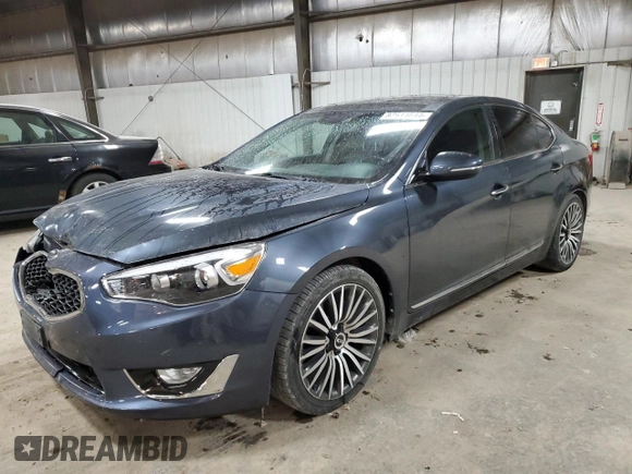 2014 Kia Cadenza Premium with VIN KNALN4D70E5124466, listed as a Copart auction lot 82614644 with 175,296 mi miles and Salvage Title. Bid and sale history available at carsss.com. Image 1.