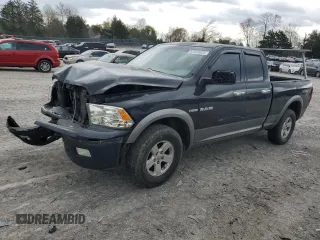 2010 Dodge 1500 TRX with VIN 1D7RV1GT3AS116223, listed as a Copart auction lot 51526625 with 238,258 mi miles and Clean Title. Bid and sale history available at carsss.com. Image 1.