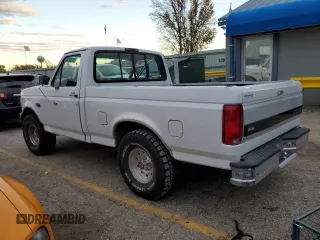 1994 Ford F-150 with VIN 1FTDF15Y9RNB41007, listed as a Copart auction lot 81486394 with 0 mi miles and Salvage Title. Bid and sale history available at carsss.com. Image 2.