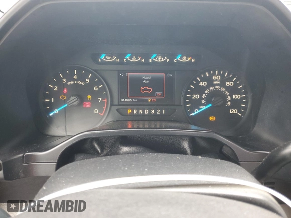 2016 Ford F-150 XL with VIN 1FTMF1C8XGKE46338, listed as a Copart auction lot 53171925 with 314,986 mi miles and Clean Title. Bid and sale history available at carsss.com. Image 9.