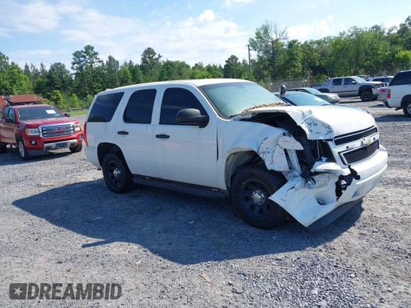 2011 Chevrolet Tahoe Commercial with VIN 1GNLC2E04BR293125, listed as a IAAI auction lot 42476037 with 123,666 mi miles and . Bid and sale history available at DreamBid. Image 1.