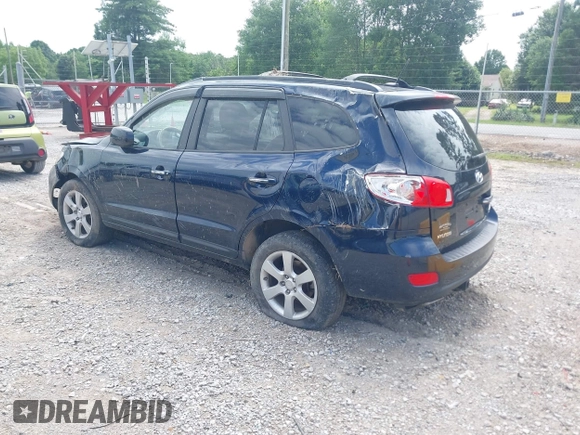 2009 Hyundai Santa Fe Limited z VIN 5NMSH13E89H300560, wystawiony jako IAAI lot #42322254 z przebiegiem 249 985 mil mil oraz . Historia ofert i sprzedaży dostępna na DreamBid. Obrazek 3.