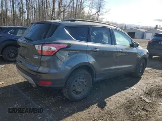2017 Ford Escape SE with VIN 1FMCU0GD3HUD61572, listed as a Copart auction lot 51241255 with 215,193 mi miles and Clean Title. Bid and sale history available at carsss.com. Image 3.