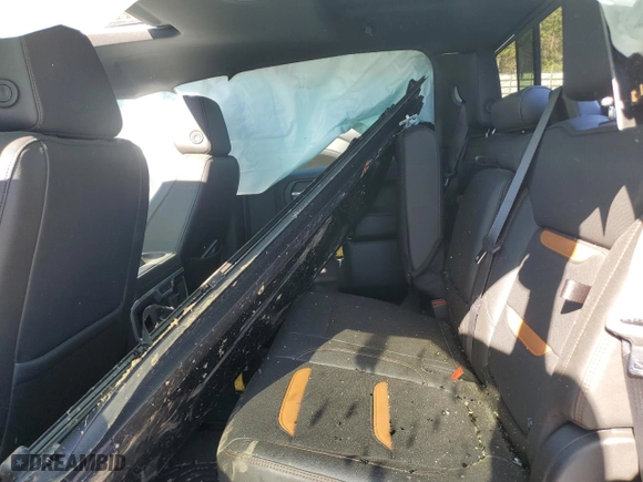 2020 GMC Sierra 1500 AT4 with VIN 1GTP9EEL9LZ359724, listed as a Copart auction lot 50170725 with 0 mi miles and Salvage Title. Bid and sale history available at carsss.com. Image 10.