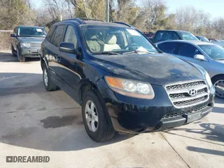 2007 Hyundai Santa Fe GLS with VIN KM8SG13DX7U143321, listed as a IAAI auction lot 41782327 with 195,545 mi miles. Bid and sale history available at carsss.com. Image 1.