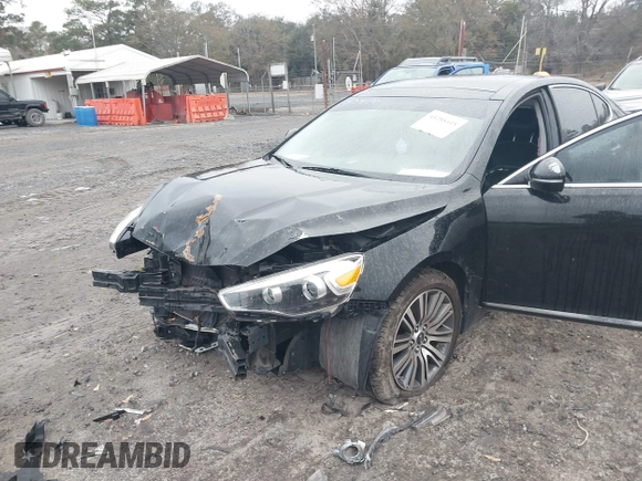 2014 Kia Cadenza Premium with VIN KNALN4D7XE5154705, listed as a IAAI auction lot 41288418 with 168,008 mi miles. Bid and sale history available at carsss.com. Image 6.