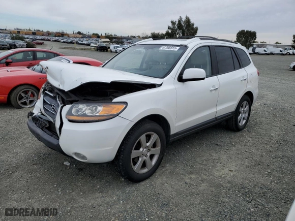 2009 Hyundai Santa Fe SE with VIN 5NMSH13EX9H252785, listed as a Copart auction lot 44768815 with 128,221 mi miles and Salvage Title. Bid and sale history available at carsss.com. Image 1.