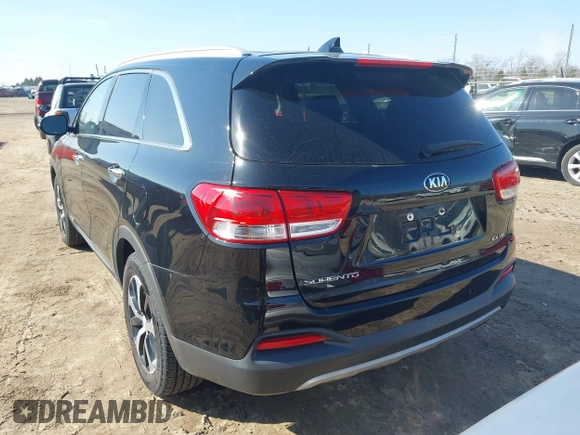2017 Kia Sorento EX with VIN 5XYPHDA51HG294958, listed as a IAAI auction lot 41791927 with 131,555 mi miles and . Bid and sale history available at DreamBid. Image 3.