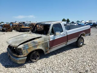 1996 Ford F-150 Special with VIN 1FTEF15N2TLA30134, listed as a Copart auction lot 60205364 with 0 mi miles and Non Repairable. Bid and sale history available at carsss.com. Image 1.