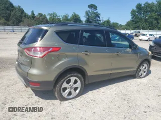 2013 Ford Escape SE with VIN 1FMCU0GX0DUD65115, listed as a Copart auction lot 61616295 with 175,375 mi miles and Salvage title. Bid and sale history available at DreamBid. Image 3.
